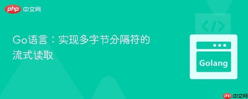 go语言：实现多字节分隔符的流式读取
