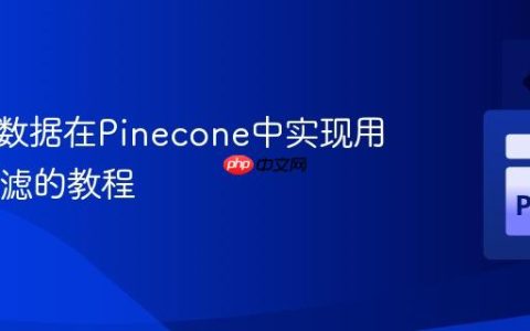 利用元数据在Pinecone中实现用户ID过滤的教程