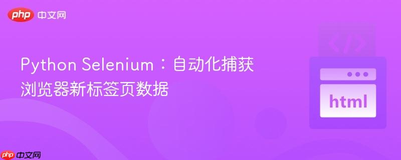 python selenium:自动化捕获浏览器新标签页数据