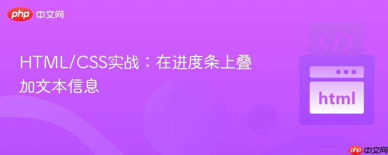 html/css实战:在进度条上叠加文本信息