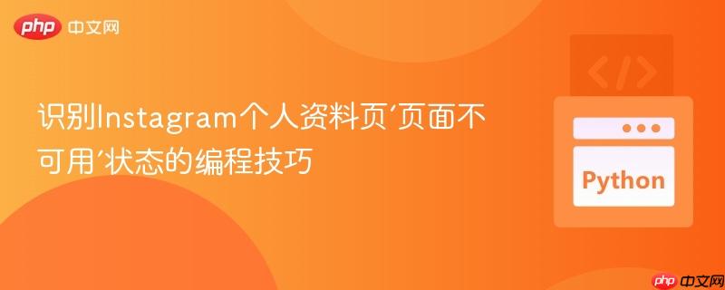 识别Instagram个人资料页‘页面不可用’状态的编程技巧