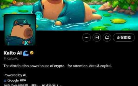 Kaito(KAITO) 币是什么？为什么需要InfoFi？KAITO代币经济学、优劣势介绍