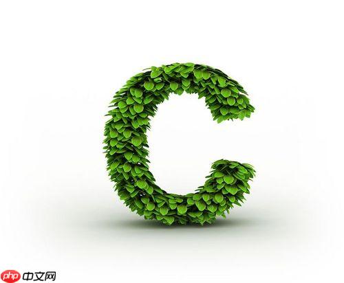 .net 中的条件编译如何管理不同环境代码?