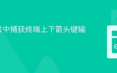 Go语言中捕获终端上下箭头键输入