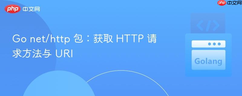 Go net/http 包:获取 HTTP 请求方法与 URI