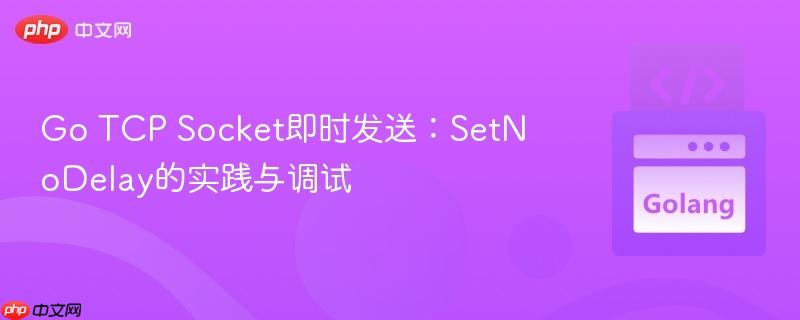 Go TCP Socket即时发送:SetNoDelay的实践与调试