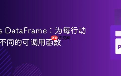 Pandas DataFrame：为每行动态应用不同的可调用函数