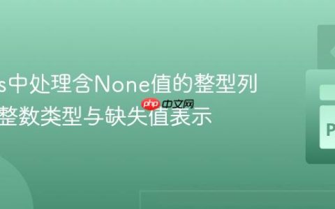 Pandas中处理含None值的整型列：保持整数类型与缺失值表示