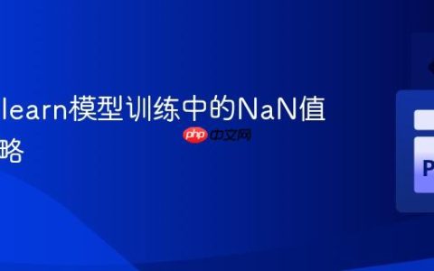 Scikit-learn模型训练中的NaN值处理策略