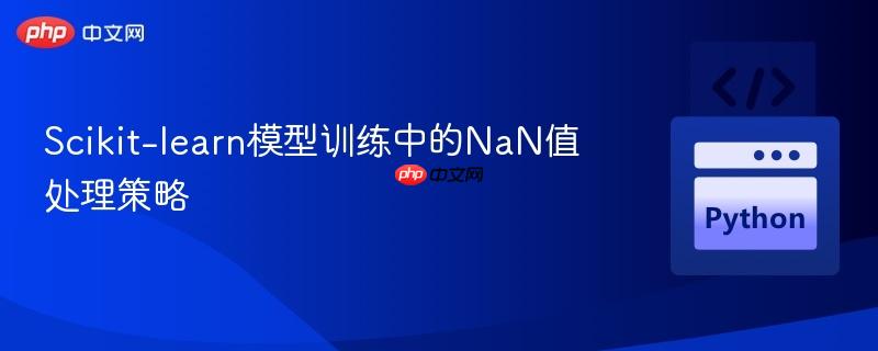 Scikit-learn模型训练中的NaN值处理策略