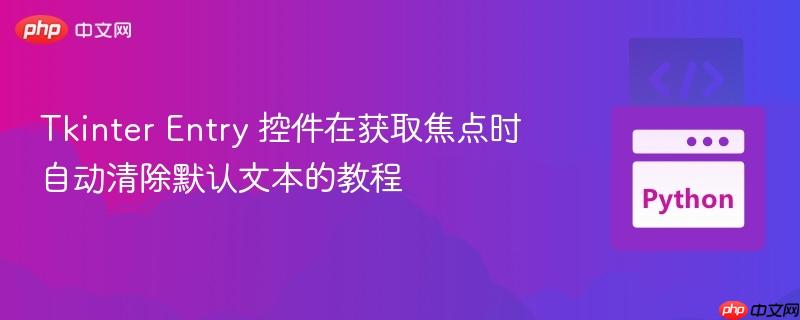 Tkinter Entry 控件在获取焦点时自动清除默认文本的教程