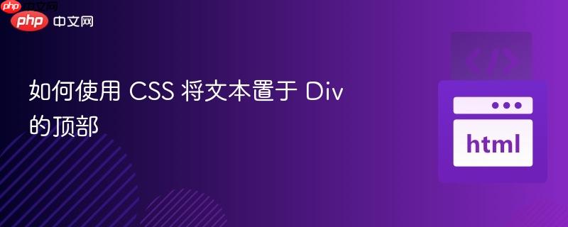 如何使用 css 将文本置于 div 的顶部