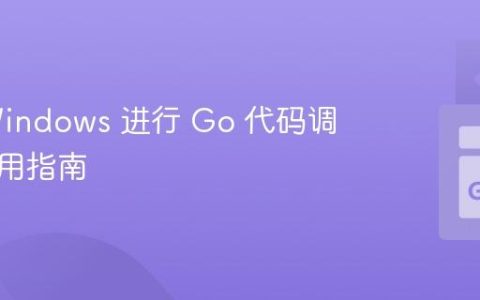 使用 Windows 进行 Go 代码调试的实用指南
