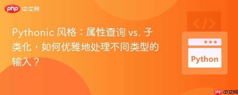 pythonic 风格:属性查询 vs. 子类化,如何优雅地处理不同类型的输入?