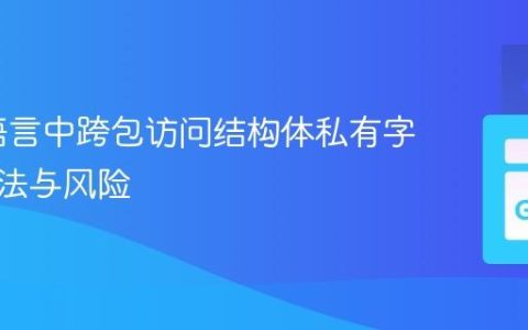 # Go语言中跨包访问结构体私有字段的方法与风险