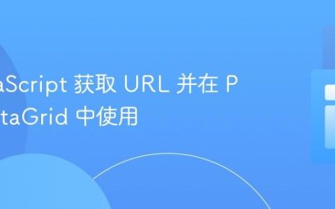 从 JavaScript 获取 URL 并在 PHP DataGrid 中使用