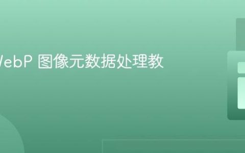 PHP WebP 图像元数据处理教程