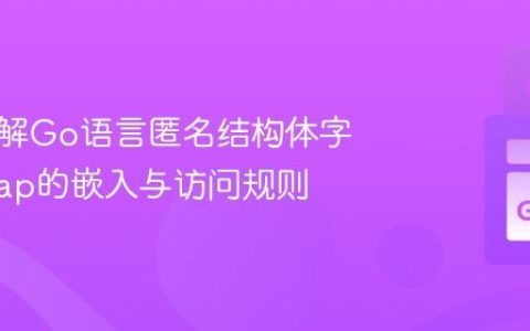 深入理解Go语言匿名结构体字段：Map的嵌入与访问规则