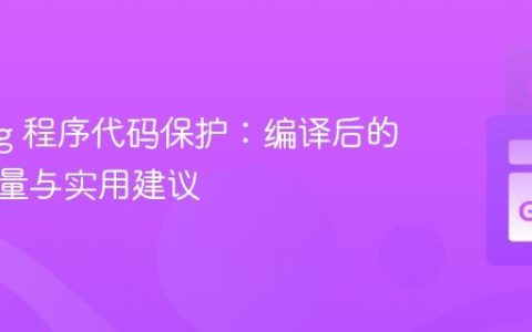 Golang 程序代码保护：编译后的安全考量与实用建议
