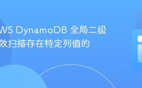 使用 AWS DynamoDB 全局二级索引高效扫描存在特定列值的记录