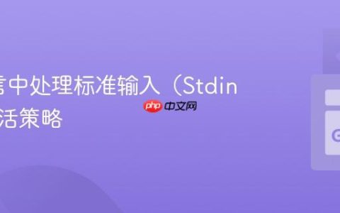Go语言中处理标准输入（Stdin）的灵活策略