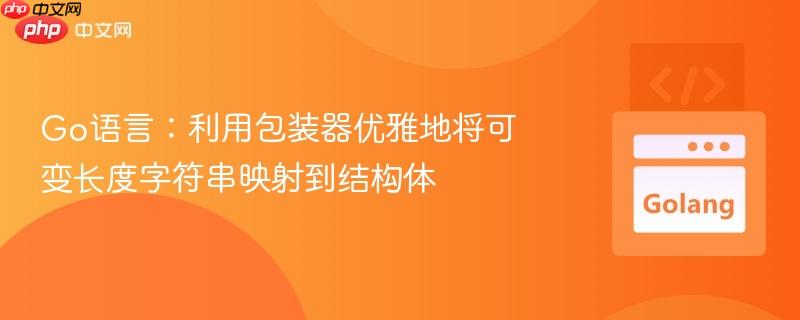 Go语言：利用包装器优雅地将可变长度字符串映射到结构体