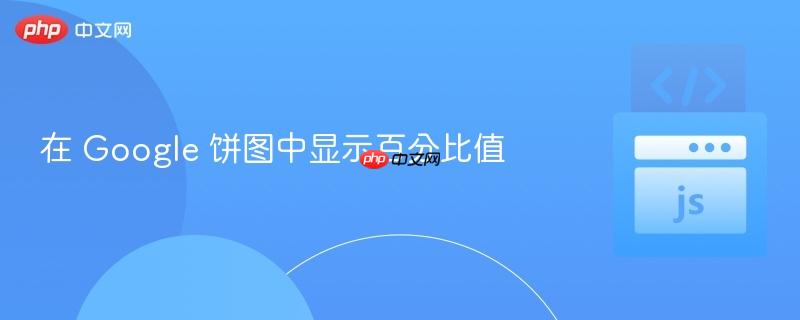 在 google 饼图中显示百分比值