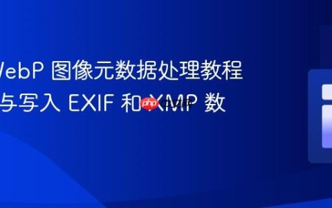 PHP WebP 图像元数据处理教程：读取与写入 EXIF 和 XMP 数据