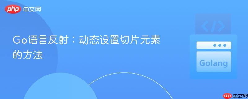 Go语言反射:动态设置切片元素的方法