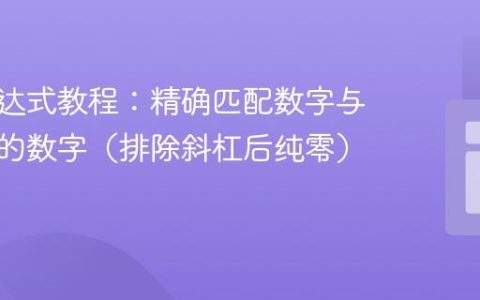 正则表达式教程：精确匹配数字与带斜杠的数字（排除斜杠后纯零）
