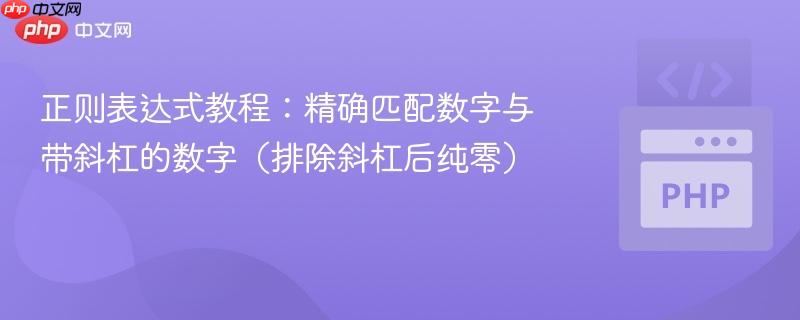正则表达式教程:精确匹配数字与带斜杠的数字(排除斜杠后纯零)
