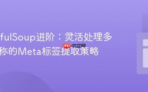 BeautifulSoup进阶：灵活处理多属性名称的Meta标签提取策略