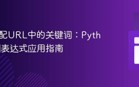 精确匹配URL中的关键词：Python正则表达式应用指南