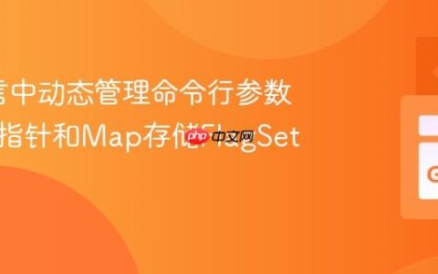 Go语言中动态管理命令行参数：使用指针和Map存储FlagSet值