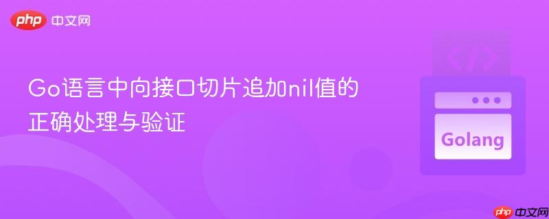 Go语言中向接口切片追加nil值的正确处理与验证