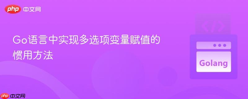 Go语言中实现多选项变量赋值的惯用方法