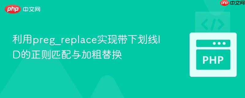 利用preg_replace实现带下划线ID的正则匹配与加粗替换