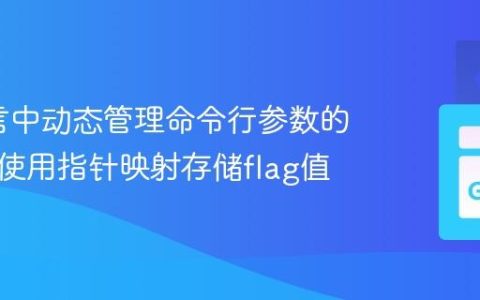 Go语言中动态管理命令行参数的策略：使用指针映射存储flag值