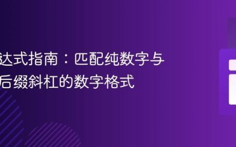 正则表达式指南：匹配纯数字与带非零后缀斜杠的数字格式