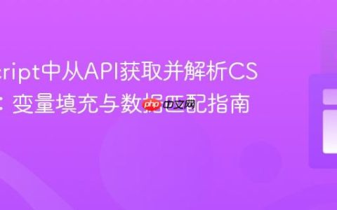 JavaScript中从API获取并解析CSV数据：变量填充与数据匹配指南