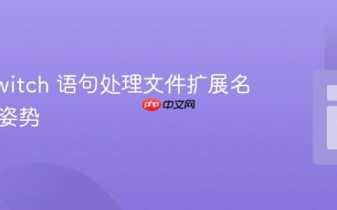 PHP switch 语句处理文件扩展名的正确姿势