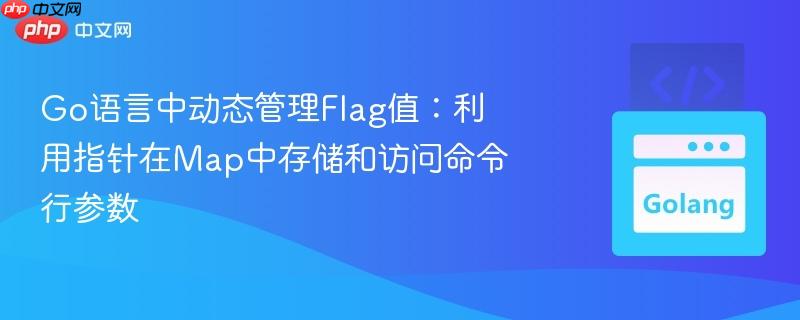 Go语言中动态管理Flag值:利用指针在Map中存储和访问命令行参数