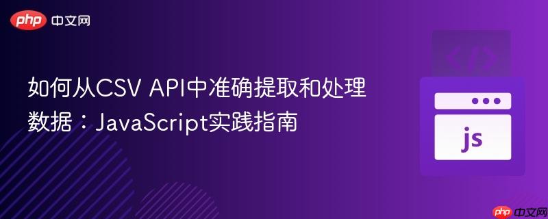 如何从CSV API中准确提取和处理数据:JavaScript实践指南