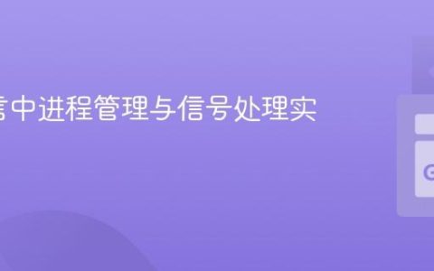 Go语言中进程管理与信号处理实战指南
