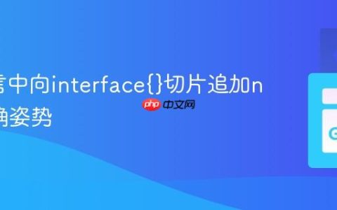Go语言中向interface{}切片追加nil的正确姿势