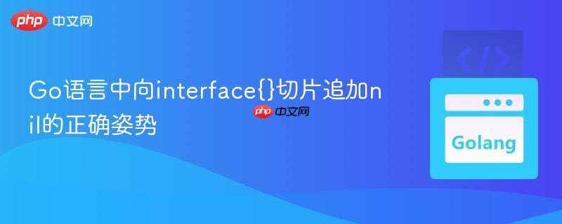 Go语言中向interface{}切片追加nil的正确姿势