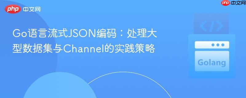 Go语言流式JSON编码:处理大型数据集与Channel的实践策略