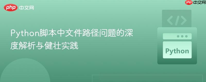 Python脚本中文件路径问题的深度解析与健壮实践