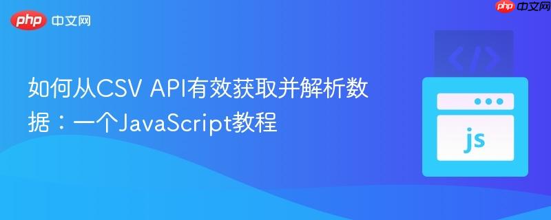 如何从CSV API有效获取并解析数据:一个JavaScript教程