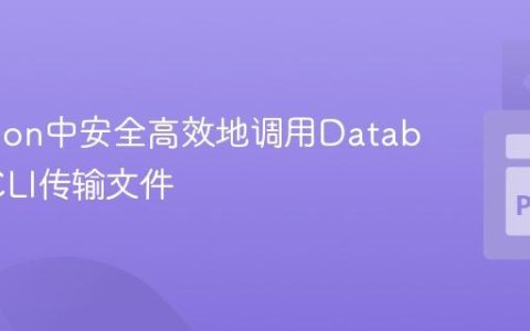 在Python中安全高效地调用Databricks CLI传输文件